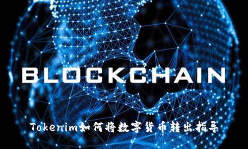 Tokenim如何将数字货币转出指导