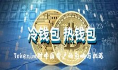 Tokenim对中国用户的影响与