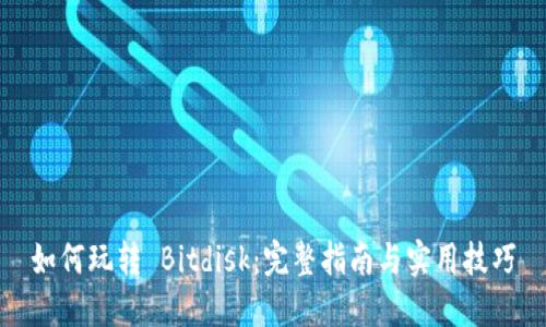 如何玩转 Bitdisk：完整指南与实用技巧