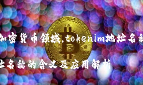 在区块链和加密货币领域，tokenim地址名称的意义解析

Tokenim地址名称的含义及应用解析