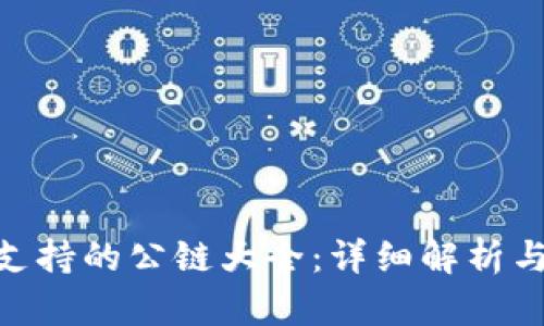 Tokenim支持的公链大全：详细解析与全面指南