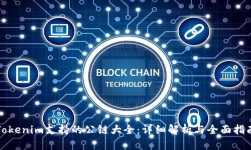 Tokenim支持的公链大全：详细解析与全面指南