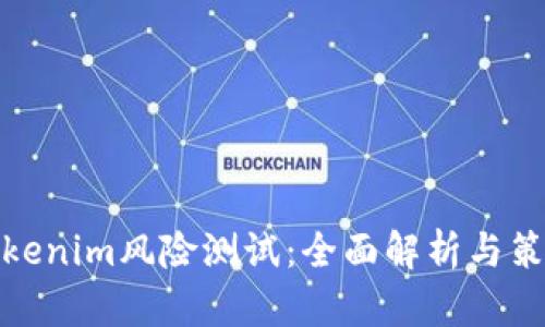 Tokenim风险测试：全面解析与策略
