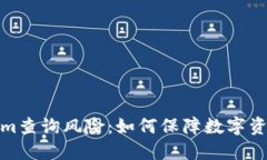 Tokenim查询风险：如何保障
