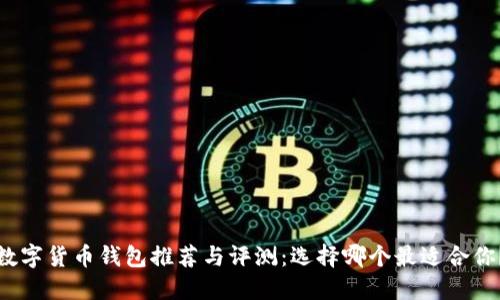 数字货币钱包推荐与评测：选择哪个最适合你？