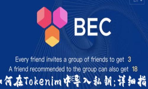 
如何在Tokenim中导入私钥：详细指南