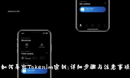 如何导出Tokenim密钥：详细步骤与注意事项