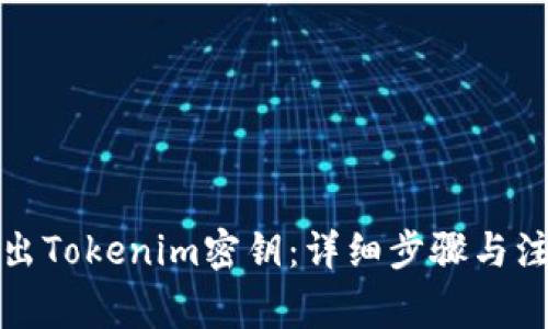 如何导出Tokenim密钥：详细步骤与注意事项