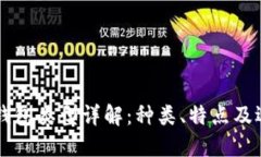 区块链钱包类型详解：种