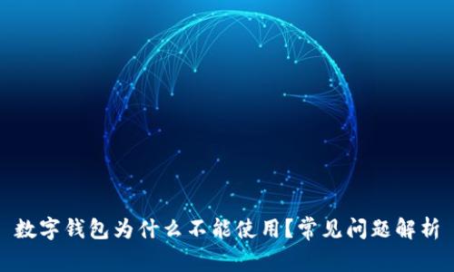 数字钱包为什么不能使用？常见问题解析