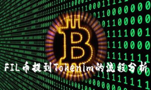 FIL币提到Tokenim的流程分析