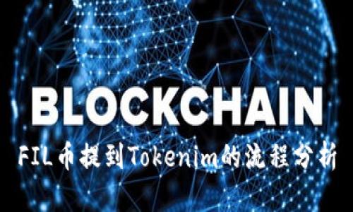 FIL币提到Tokenim的流程分析