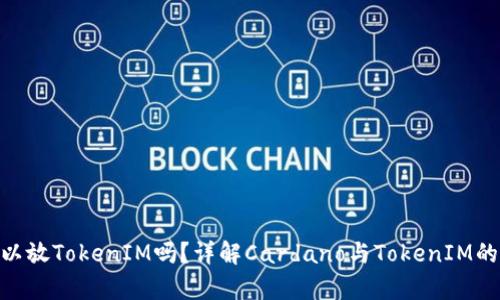 ADA可以放TokenIM吗？详解Cardano与TokenIM的兼容性