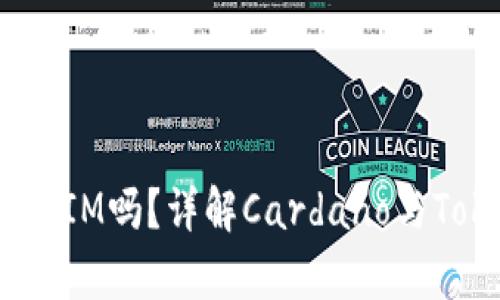 ADA可以放TokenIM吗？详解Cardano与TokenIM的兼容性
