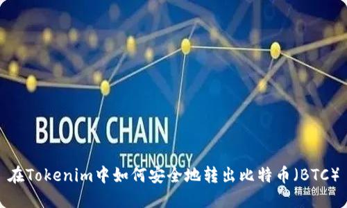 在Tokenim中如何安全地转出比特币（BTC）