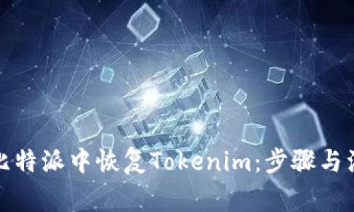 如何在比特派中恢复Tokenim：步骤与注意事项