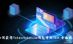 如何获得Tokentokenim钱包中