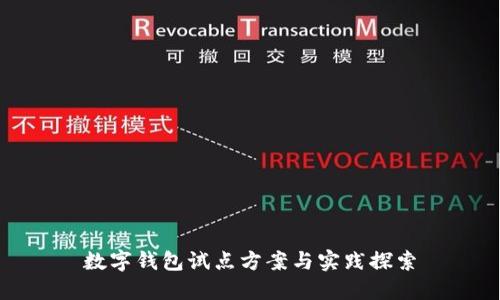 数字钱包试点方案与实践探索