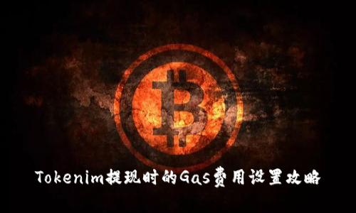 Tokenim提现时的Gas费用设置攻略