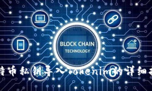 比特币私钥导入Tokenim的详细指南