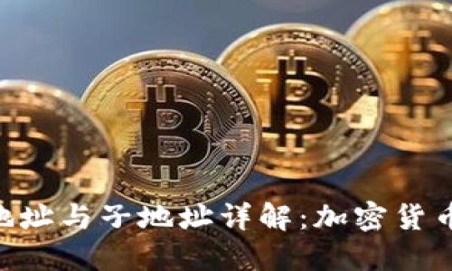 Tokenim主地址与子地址详解：加密货币的钱包管理