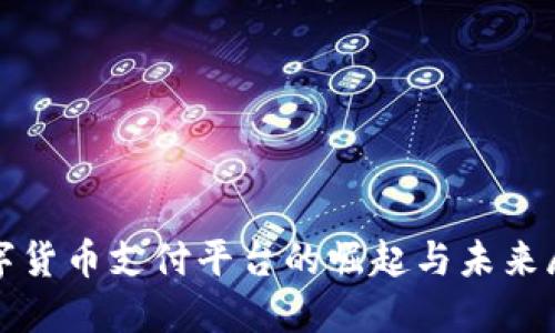 数字货币支付平台的崛起与未来展望