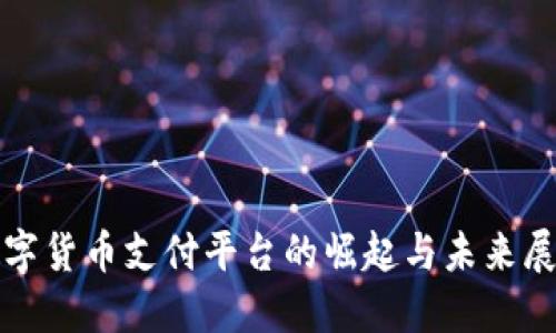 数字货币支付平台的崛起与未来展望