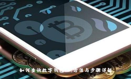 如何查询数字钱包ID：方法与步骤详解
