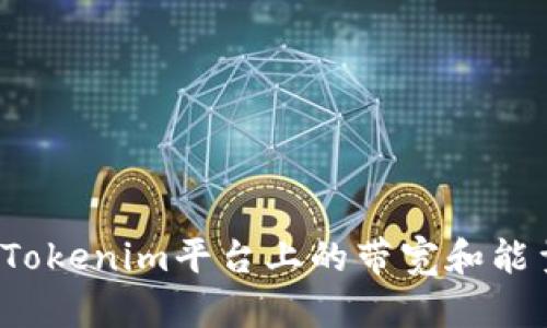  如何解决Tokenim平台上的带宽和能量不足问题