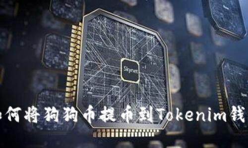 如何将狗狗币提币到Tokenim钱包