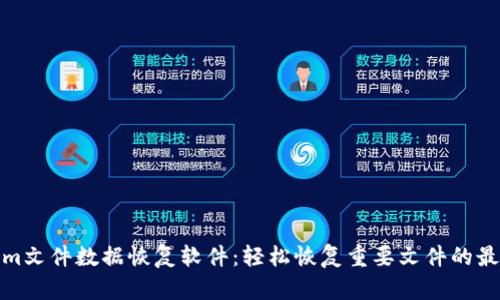 Tokenim文件数据恢复软件：轻松恢复重要文件的最佳选择