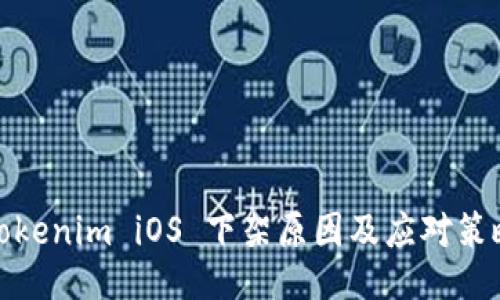 Tokenim iOS 下架原因及应对策略