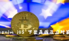 Tokenim iOS 下架原因及应对