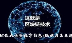 全球最大电子数字钱包：