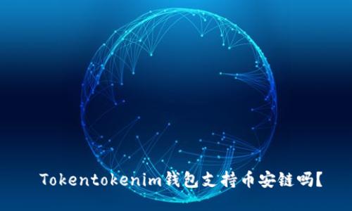  Tokentokenim钱包支持币安链吗？