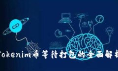 Tokenim币等待打包的全面解