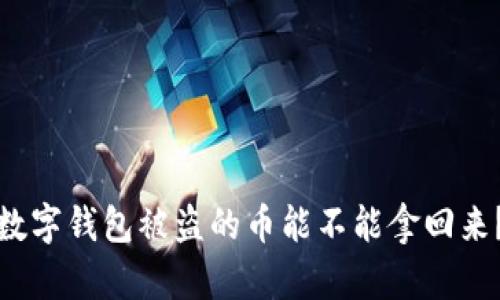 数字钱包被盗的币能不能拿回来？