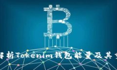 深入解析Tokenim钱包能量及