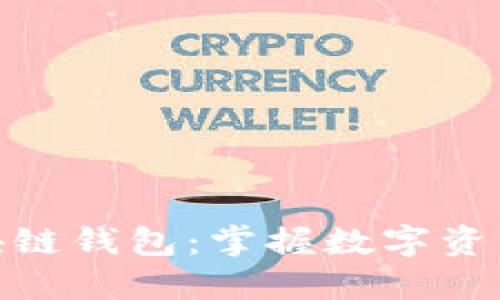 全球最大的区块链钱包：掌握数字资产的安全与便捷