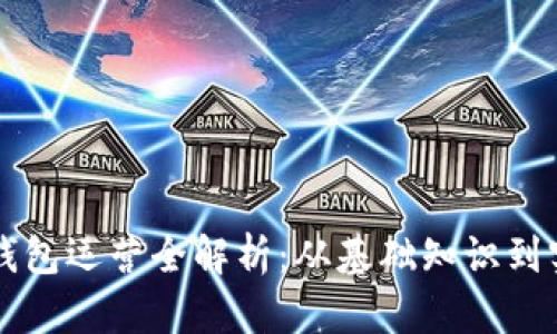 区块链钱包运营全解析：从基础知识到实战技巧