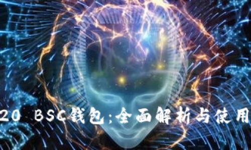 BEP20 BSC钱包：全面解析与使用指南