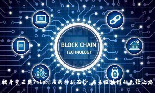 揭开星云链Tokenim的神秘面纱：未来区块链的先锋之路