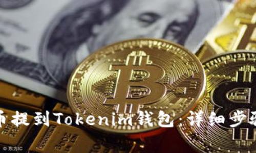 如何将狗狗币提到Tokenim钱包：详细步骤与注意事项