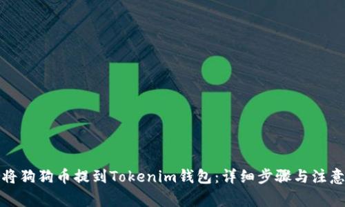 如何将狗狗币提到Tokenim钱包：详细步骤与注意事项