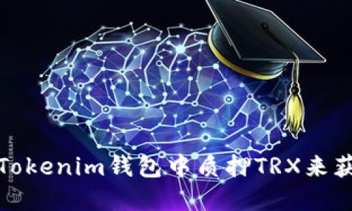 如何在Tokenim钱包中质押TRX来获取收益