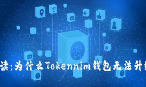 解读：为什么Tokennim钱包无法升级？
