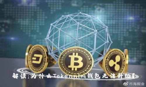 解读：为什么Tokennim钱包无法升级？