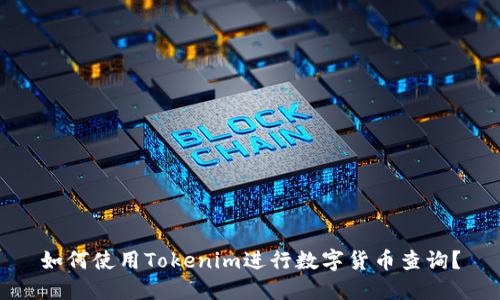 如何使用Tokenim进行数字货币查询？