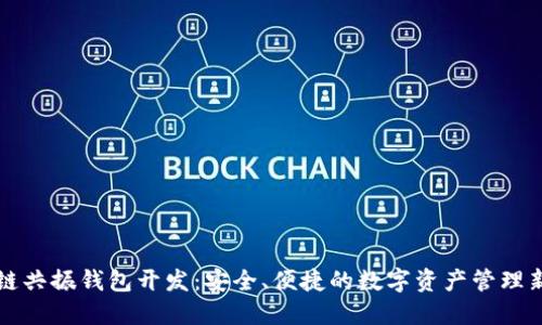 区块链共振钱包开发：安全、便捷的数字资产管理新选择