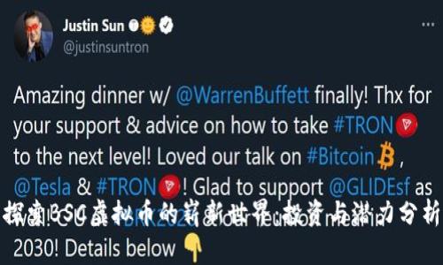 探索BSC虚拟币的崭新世界：投资与潜力分析